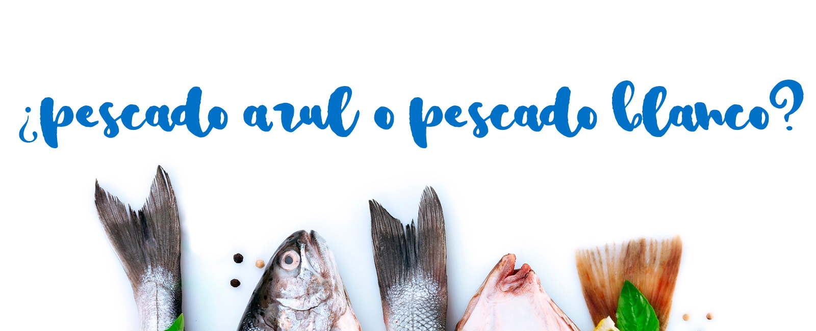 Pescado azul o blanco: Propiedades y diferencias